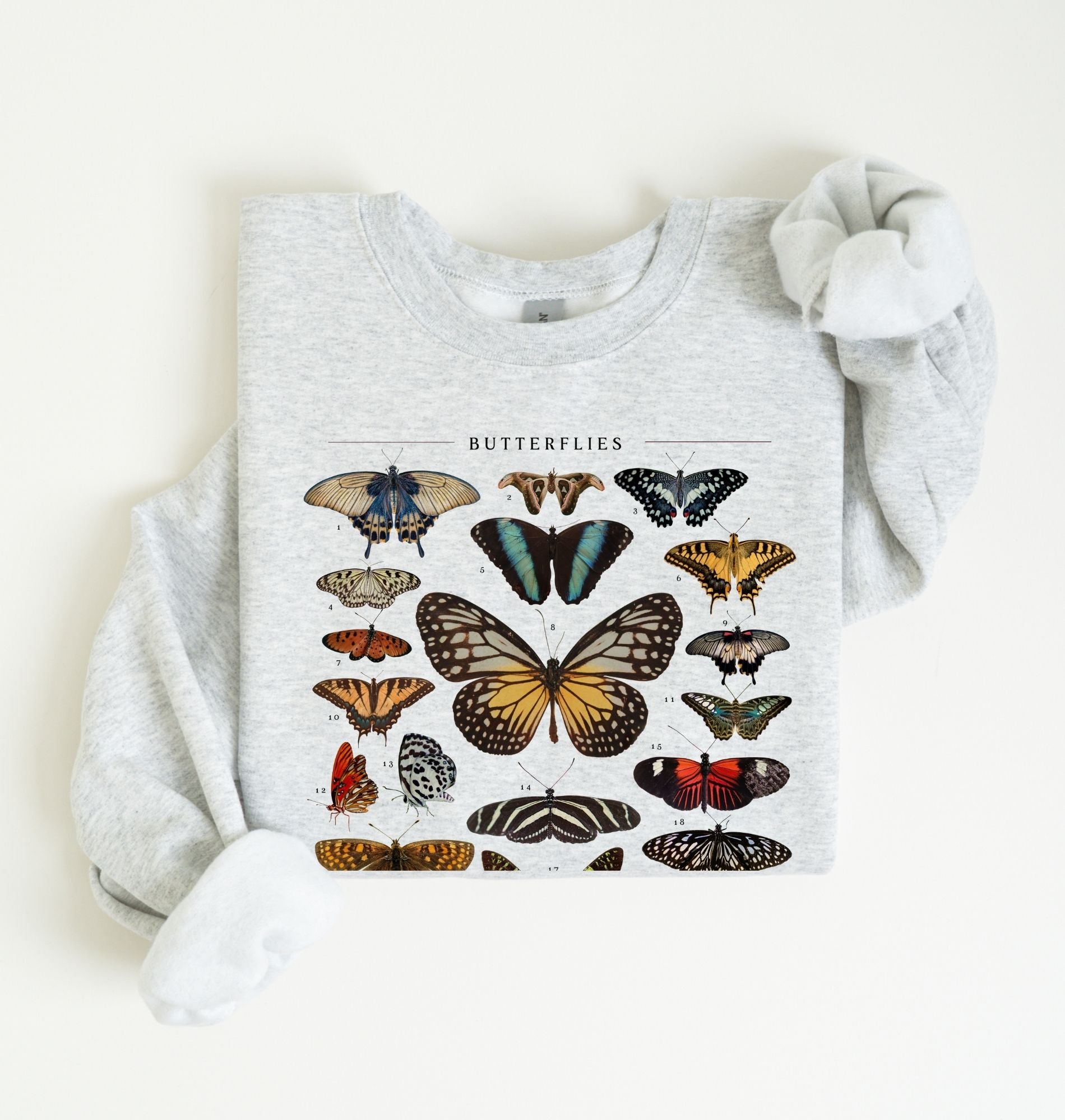 vintage butterfly chart sweatshirt with detailed butterfly illustrations on soft ash fabric