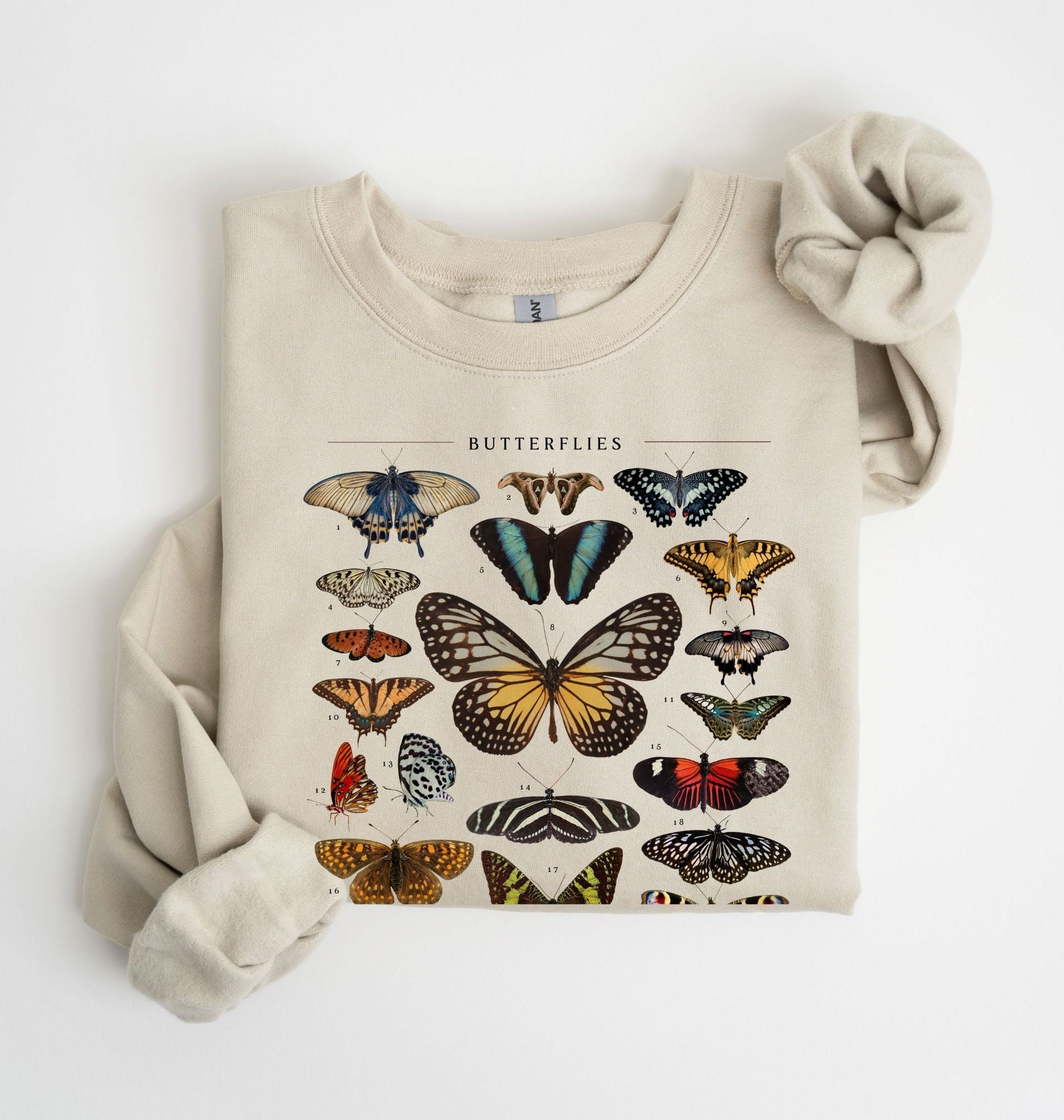vintage butterfly chart sweatshirt with detailed butterfly illustrations on soft sand fabric