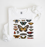vintage butterfly chart sweatshirt with detailed butterfly illustrations on soft white fabric