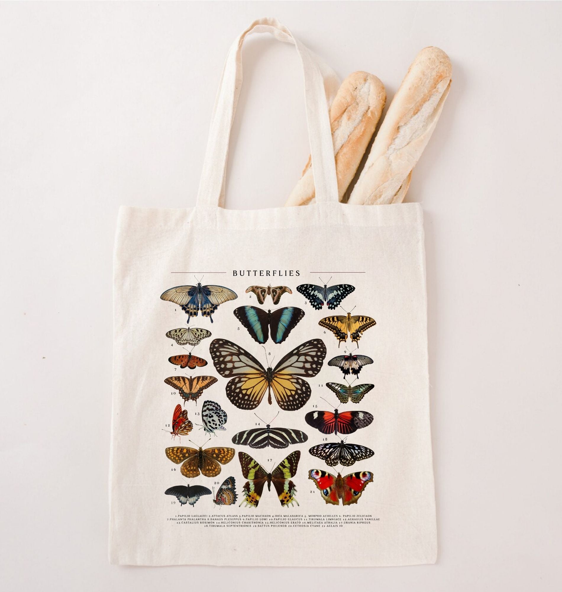 Vintage butterfly field guide illustration printed on a natural canvas tote bag, eco friendly nature lover gift
