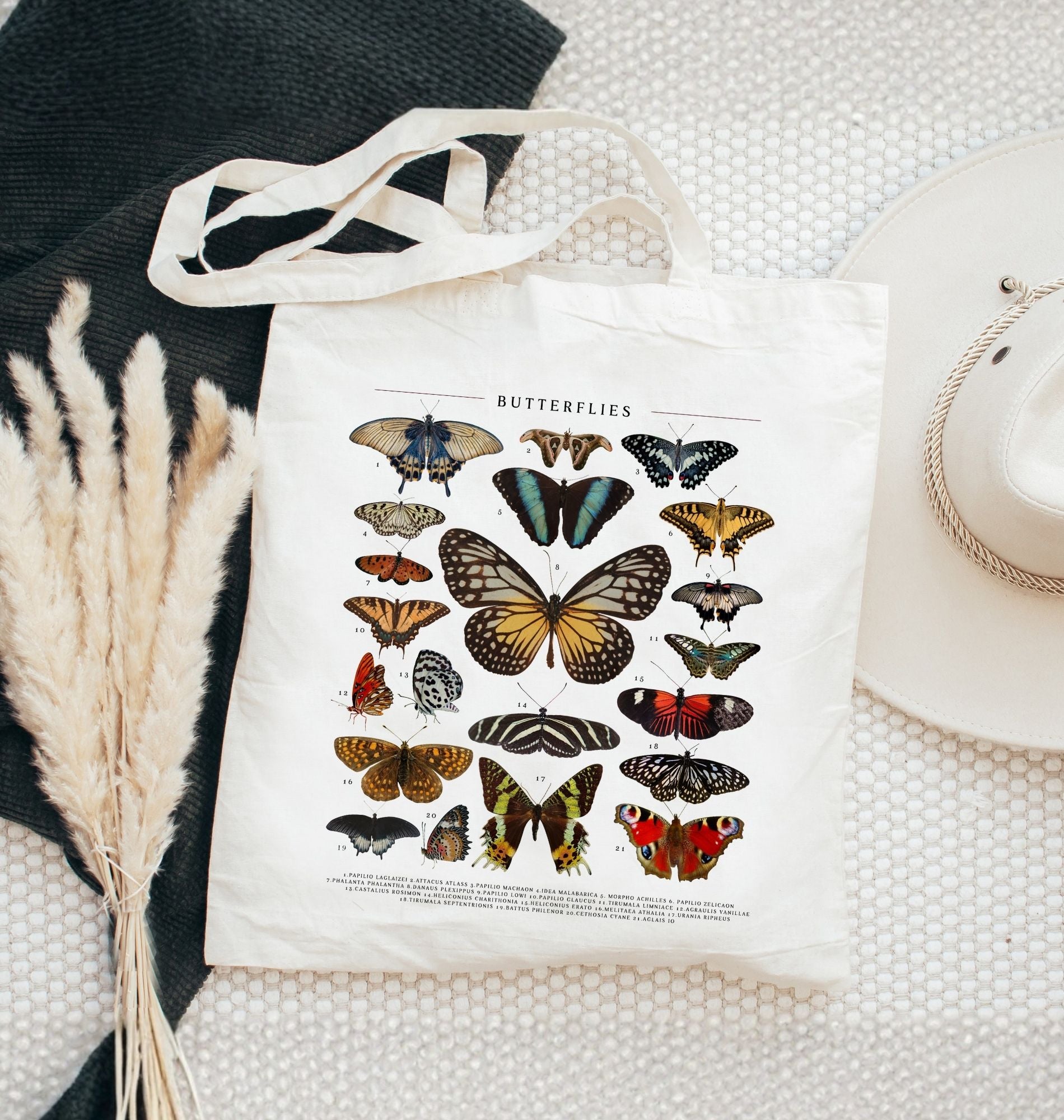 Vintage butterfly field guide illustration printed on a natural canvas tote bag, eco friendly nature lover gift