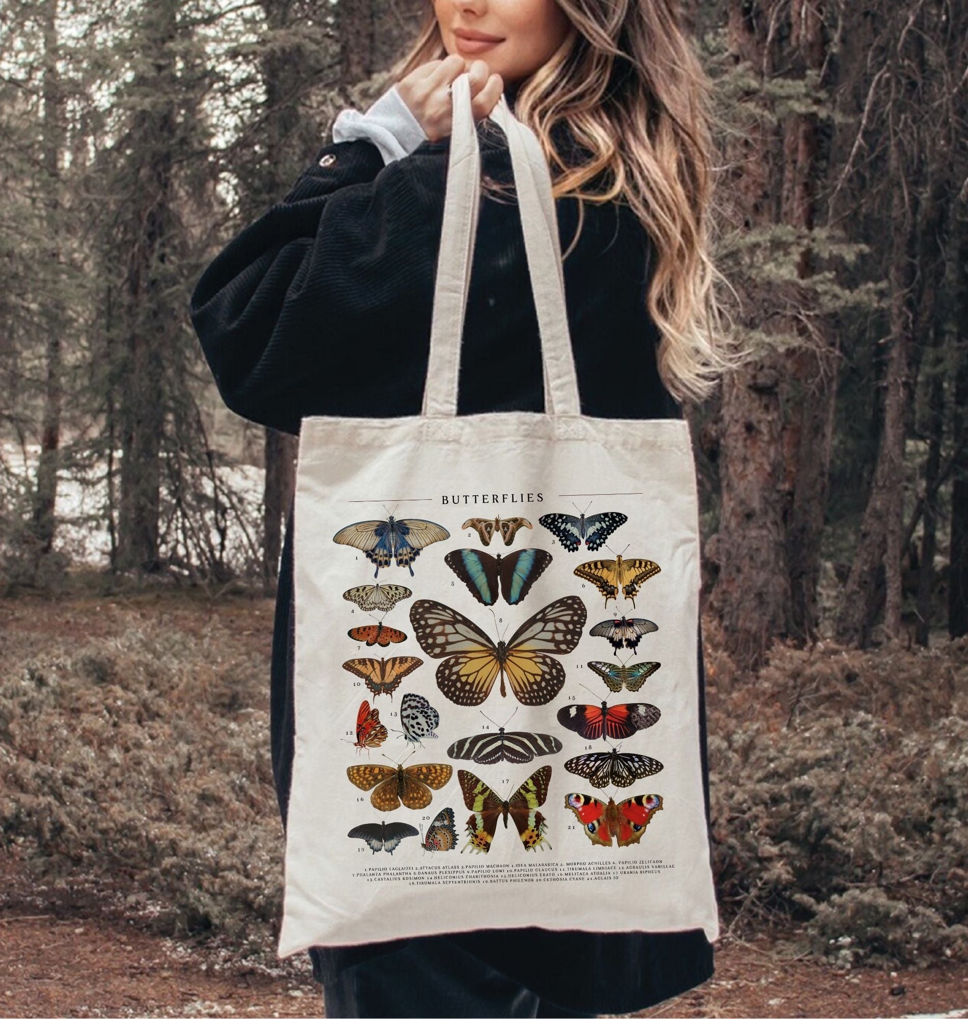 Vintage butterfly field guide illustration printed on a natural canvas tote bag, eco friendly nature lover gift