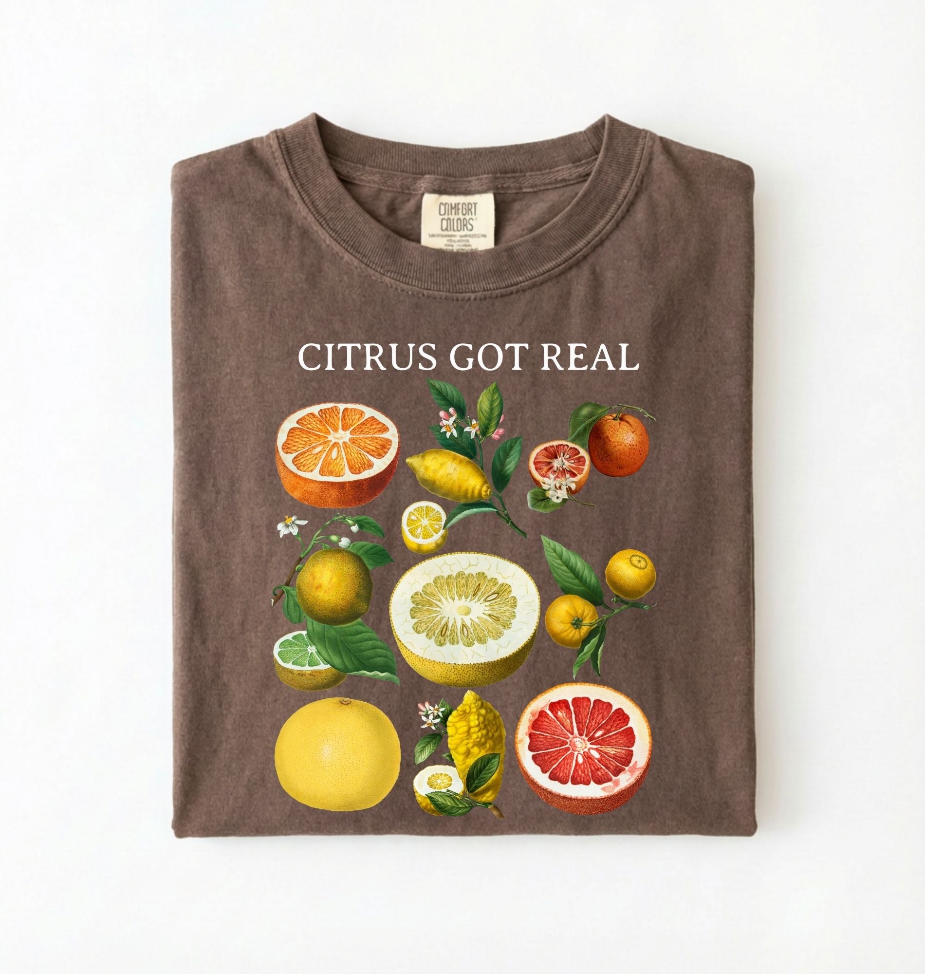 Vintage citrus fruit graphic t-shirt with lemons oranges and grapefruit botanical illustration
