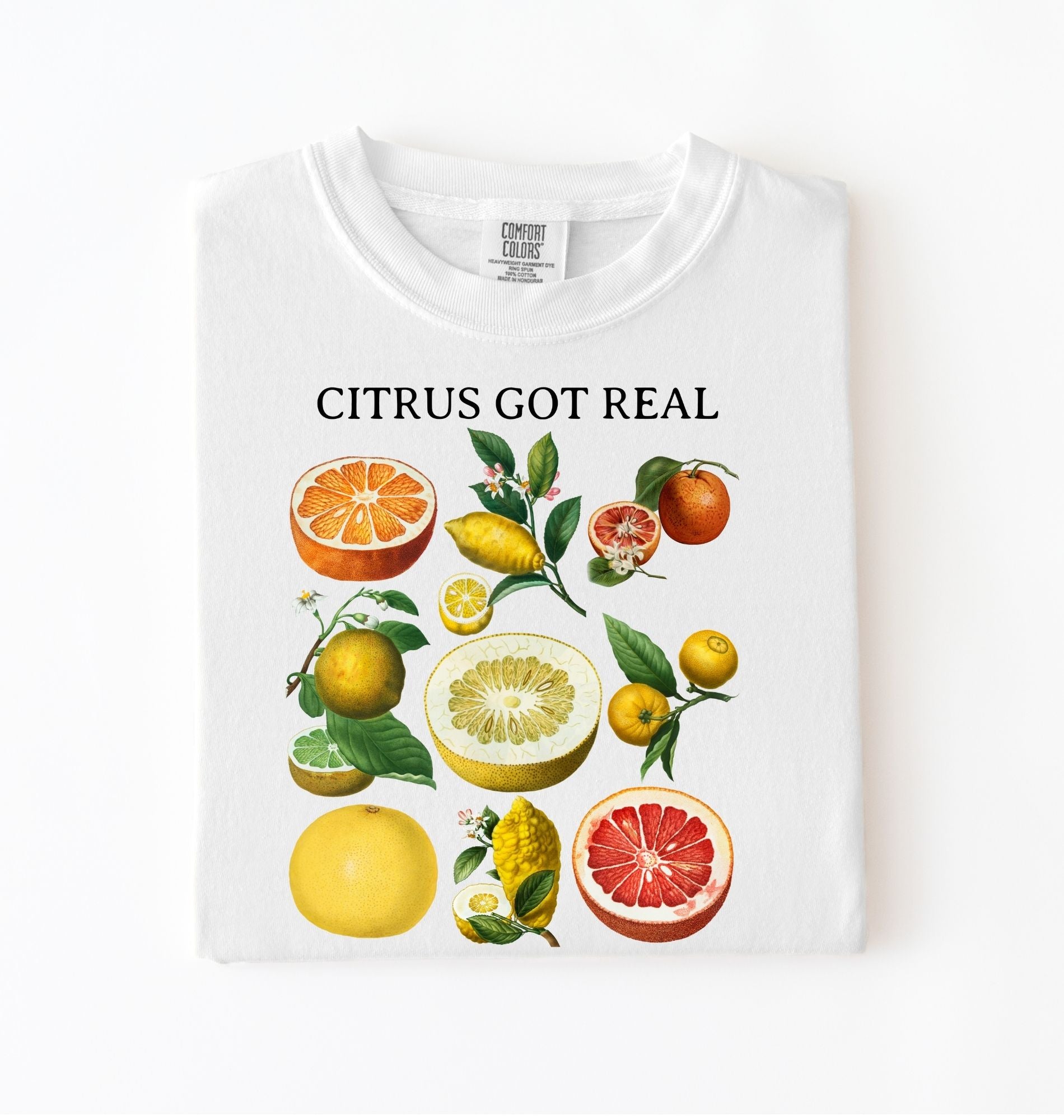 Vintage citrus fruit graphic t-shirt with lemons oranges and grapefruit botanical illustration