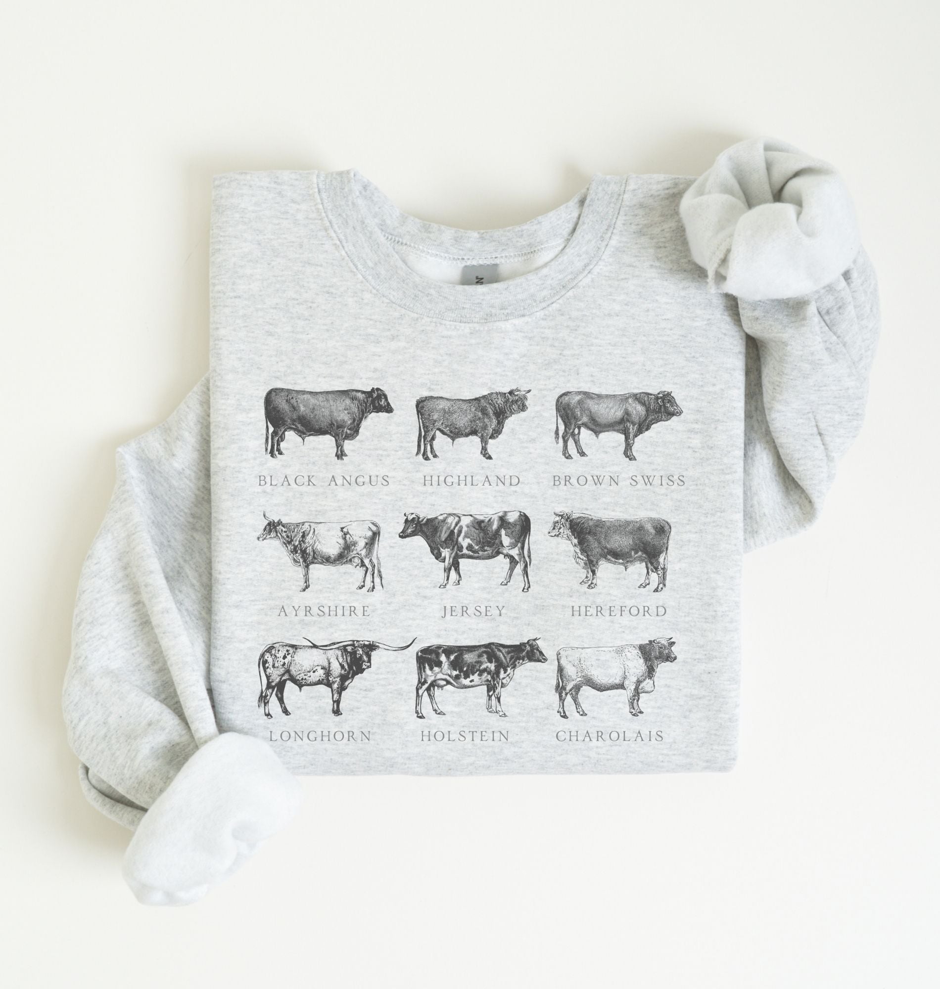 illustrated cow breeds sweatshirt showing Angus, Highland, Jersey, Holstein and other farm cattle drawings