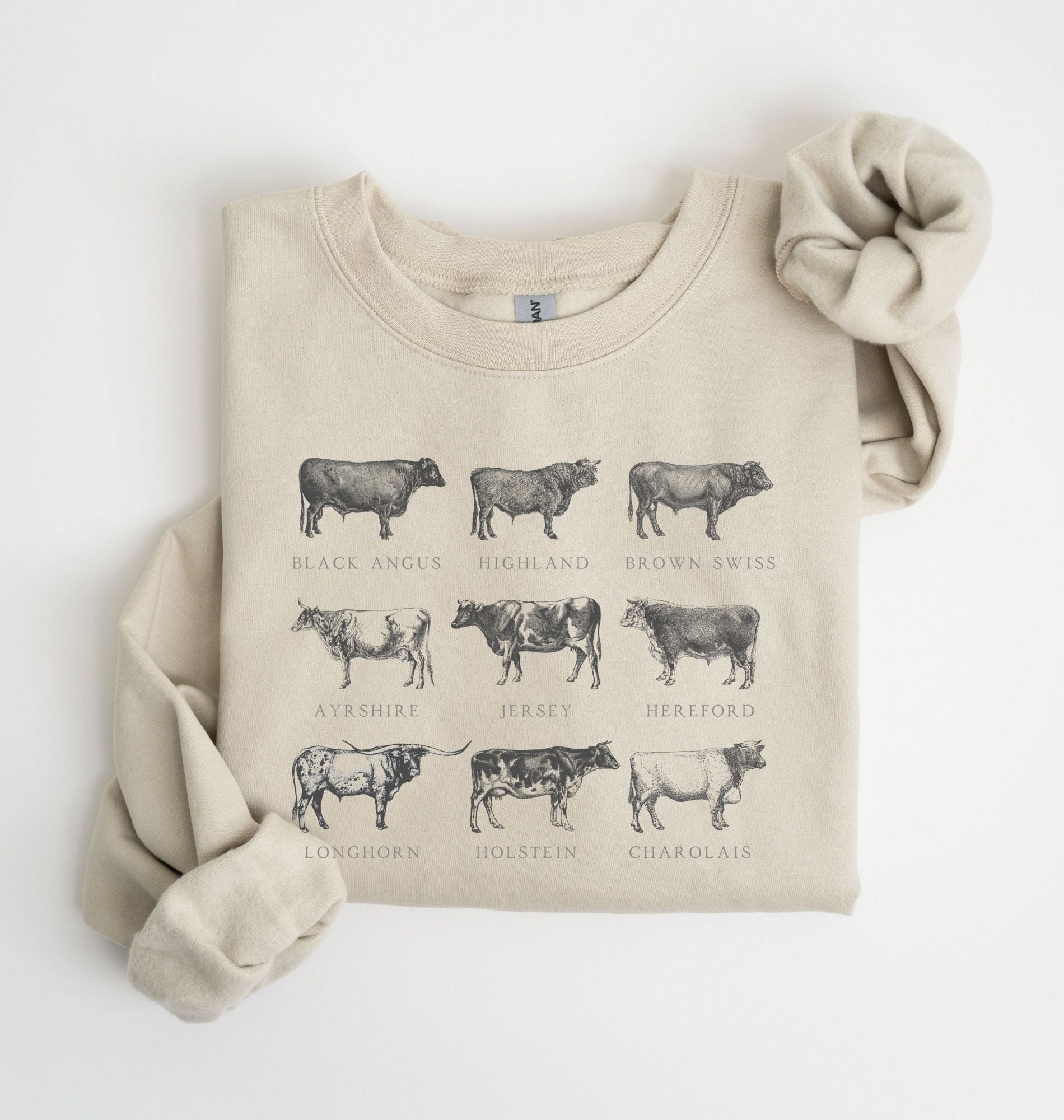 illustrated cow breeds sweatshirt showing Angus, Highland, Jersey, Holstein and other farm cattle drawings