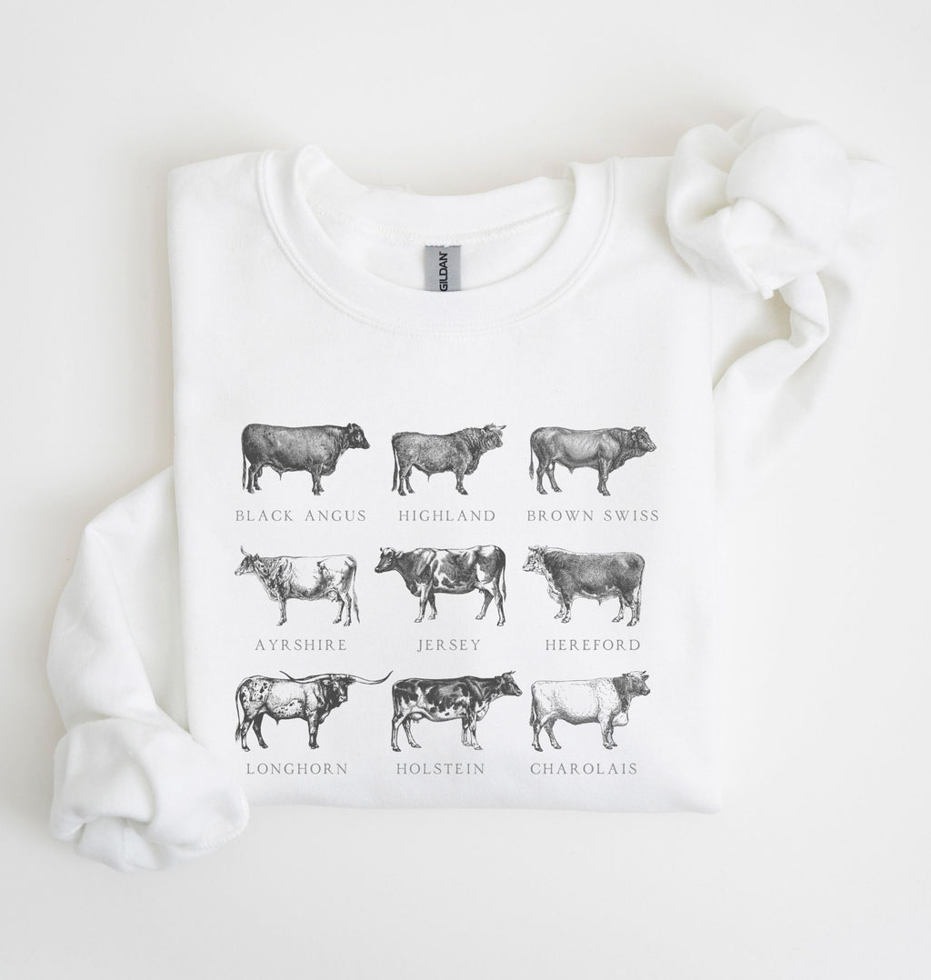 illustrated cow breeds sweatshirt showing Angus, Highland, Jersey, Holstein and other farm cattle drawings