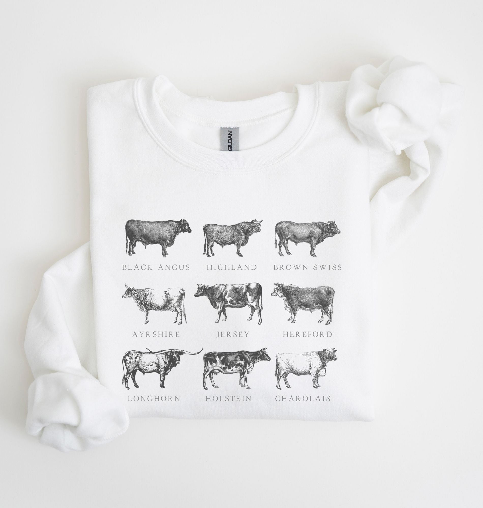 illustrated cow breeds sweatshirt showing Angus, Highland, Jersey, Holstein and other farm cattle drawings