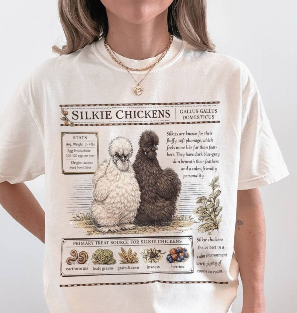 Flat lay of a white Silkie chickens t-shirt with vintage poultry illustration, soft white tee for chicken lovers and farm gift on a white background 