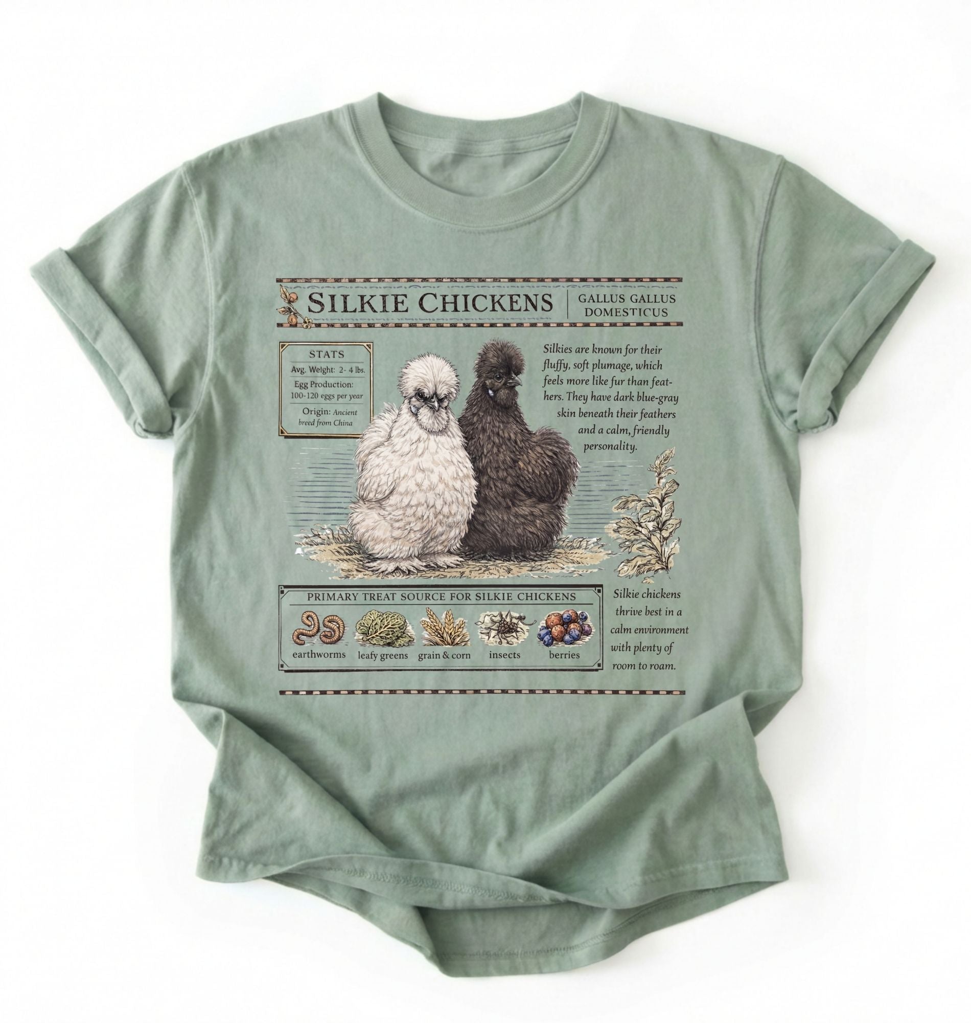 Flat lay of a bay Silkie chickens t-shirt with vintage poultry illustration, soft white tee for chicken lovers and farm gift on a white background