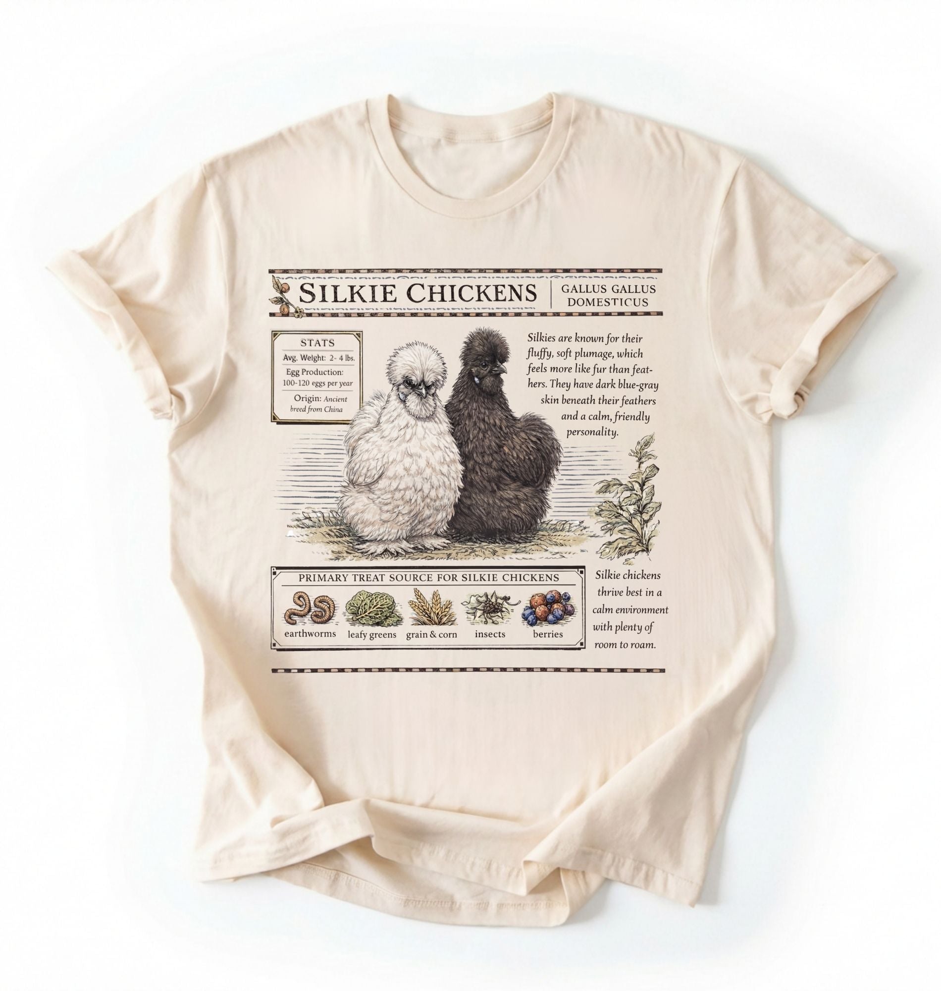 Flat lay of a ivory Silkie chickens t-shirt with vintage poultry illustration, soft white tee for chicken lovers and farm gift on a white background