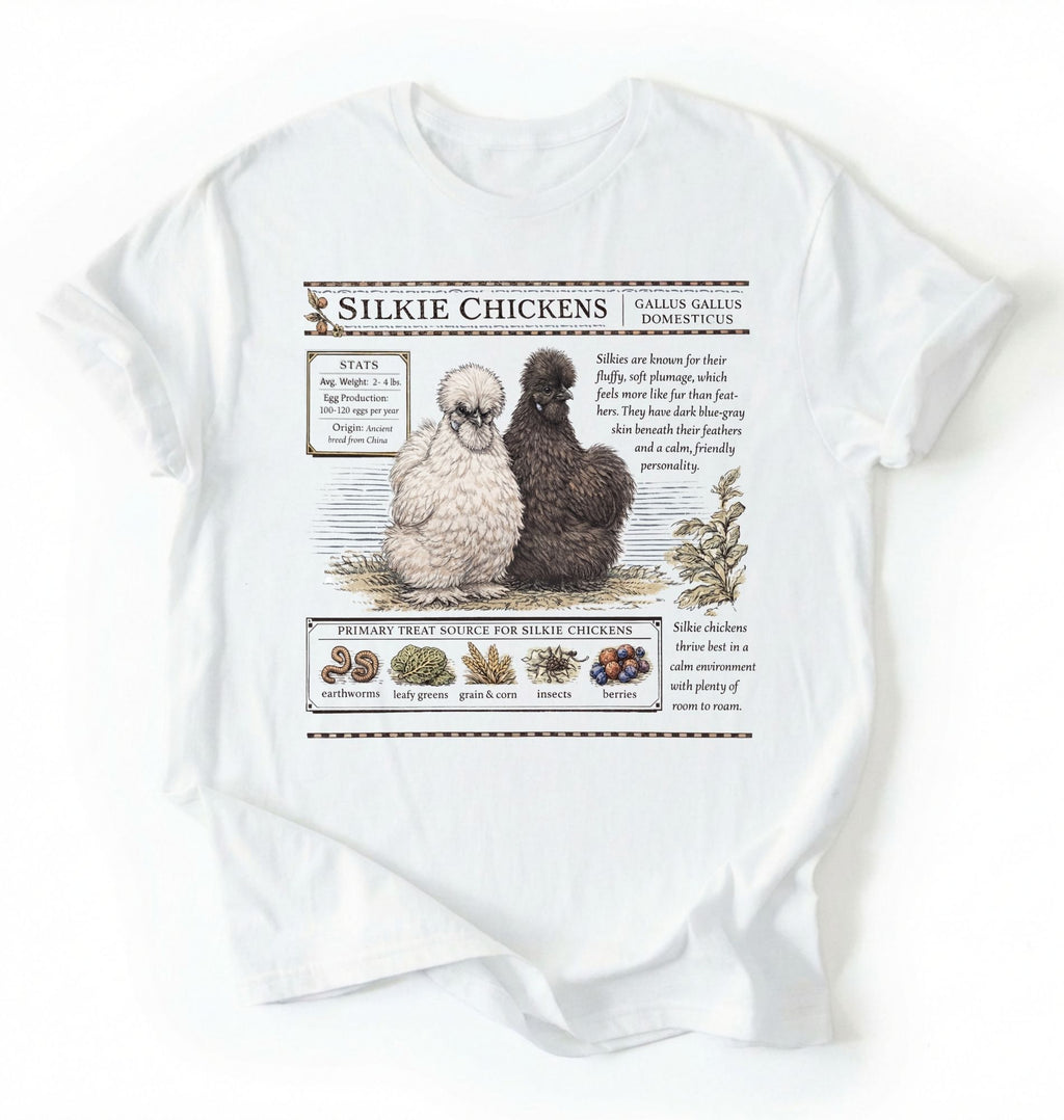 Flat lay of a white Silkie chickens t-shirt with vintage poultry illustration, soft white tee for chicken lovers and farm gift on a white background 