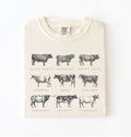 Vintage cow breeds illustration t-shirt featuring Angus, Highland, Jersey, Holstein, and other cattle breeds