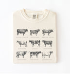 Vintage cow breeds illustration t-shirt featuring Angus, Highland, Jersey, Holstein, and other cattle breeds