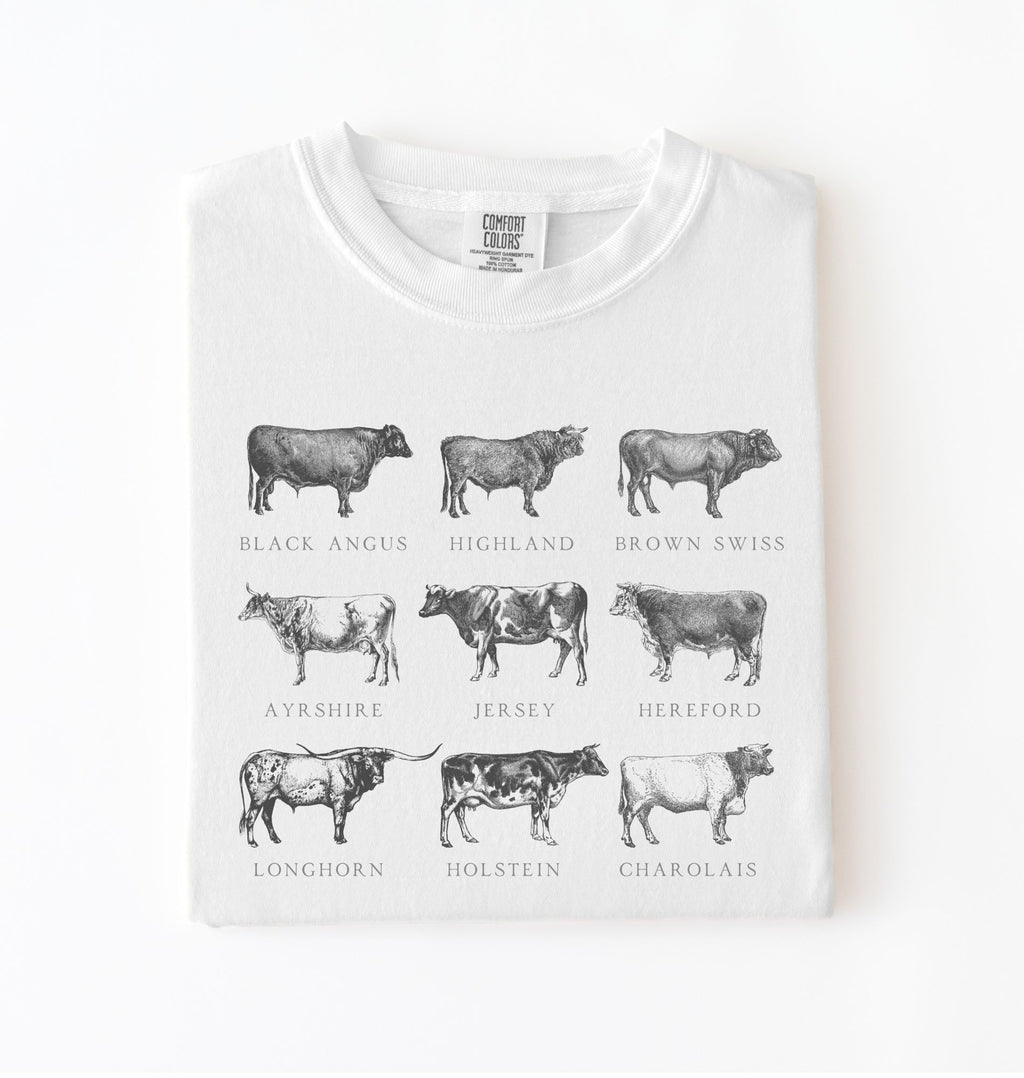 Vintage cow breeds illustration t-shirt featuring Angus, Highland, Jersey, Holstein, and other cattle breeds