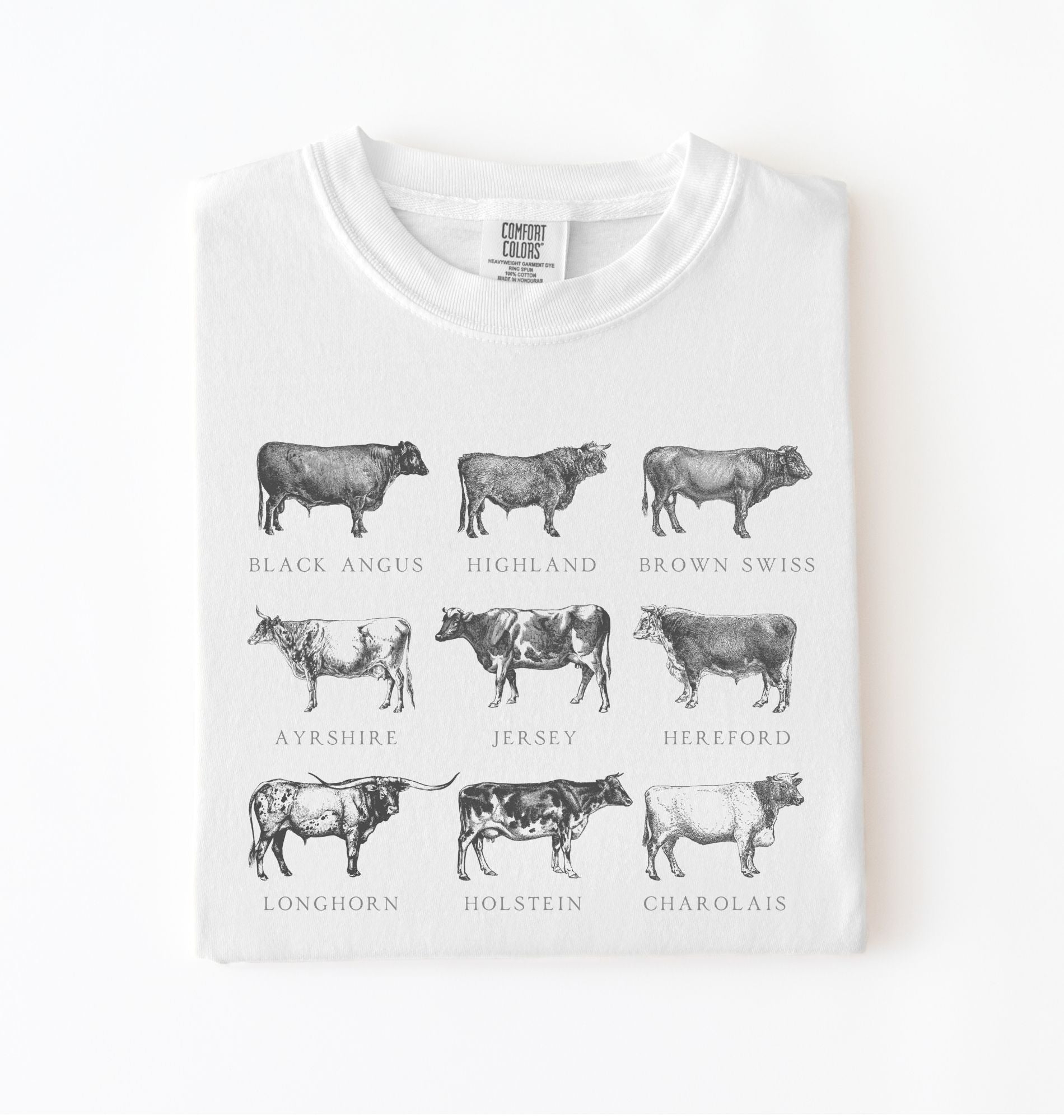 Vintage cow breeds illustration t-shirt featuring Angus, Highland, Jersey, Holstein, and other cattle breeds